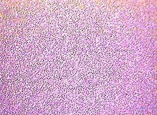 > </div>
<div class=